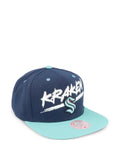 Mitchell & Ness Transcript baseball cap